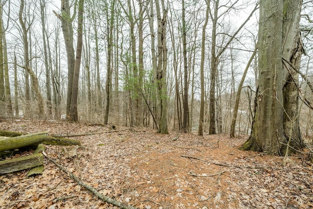 view of landscape