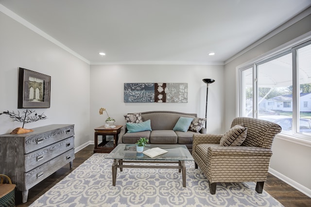 living room with crown molding and dark wood-type flooring