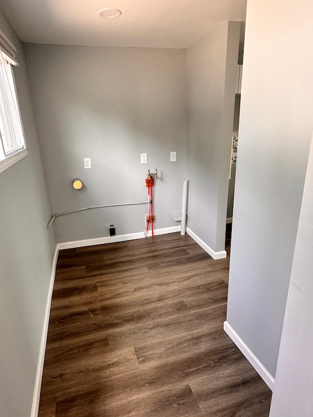 washroom featuring dark hardwood / wood-style flooring