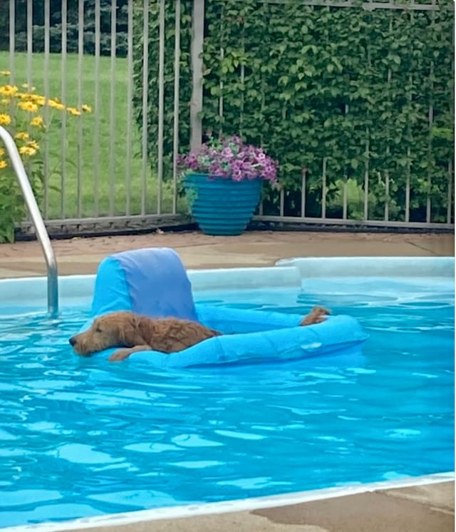 view of pool