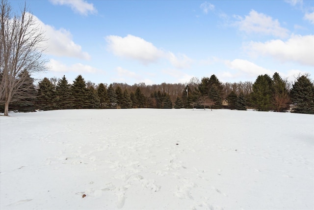 view of yard layered in snow