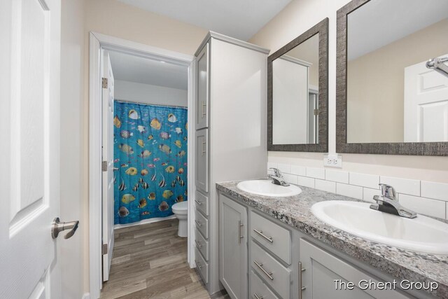 bathroom with tasteful backsplash, wood-type flooring, vanity, and toilet