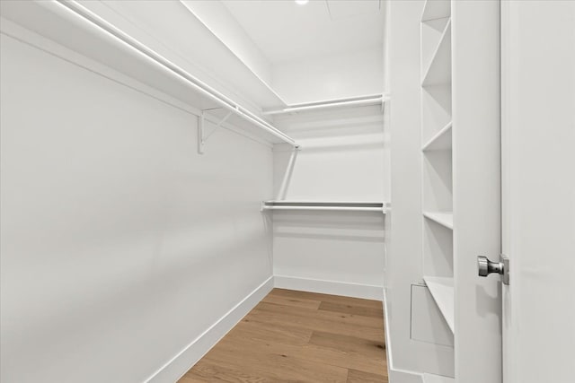 walk in closet featuring light hardwood / wood-style floors