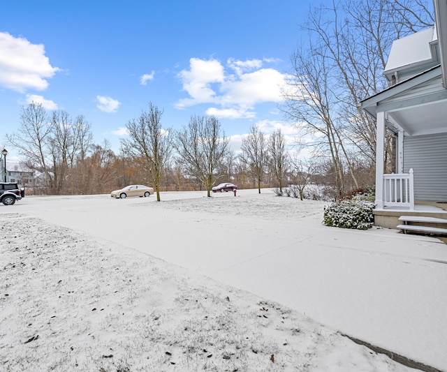 view of snowy yard