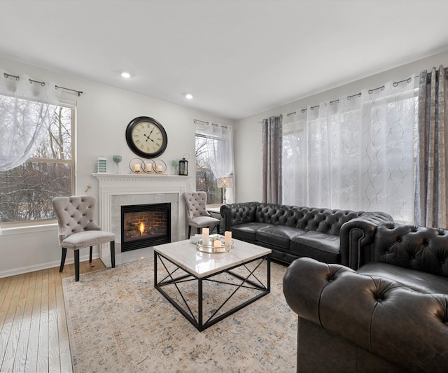 living room featuring plenty of natural light, hardwood / wood-style floors, and a fireplace