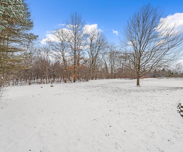 view of snowy yard