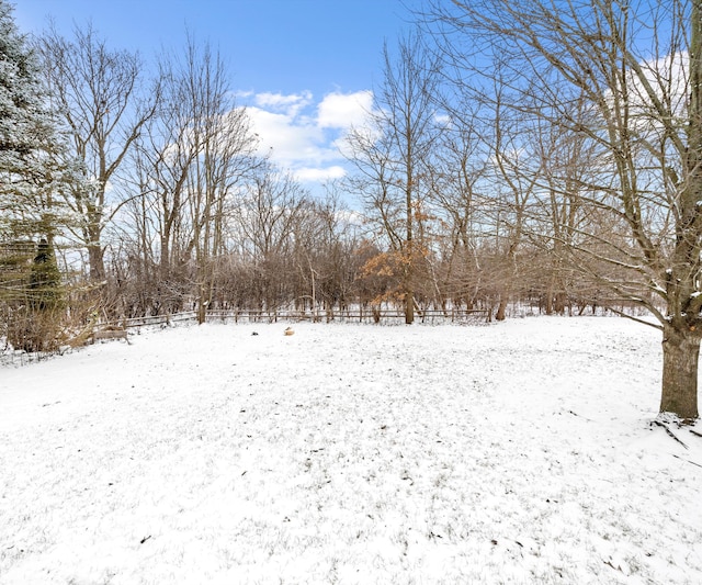 view of snowy yard