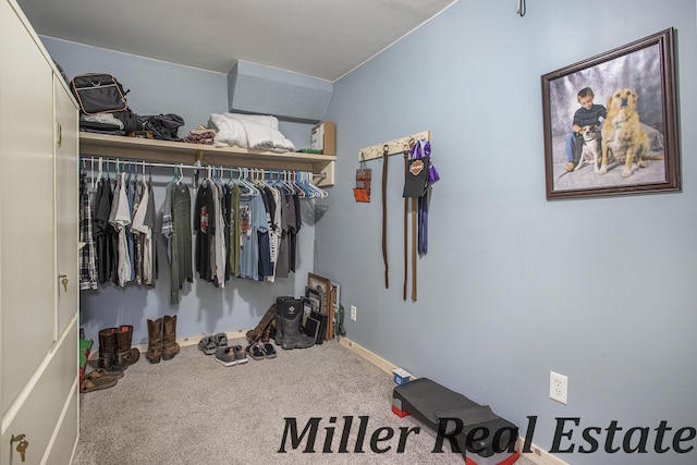 walk in closet featuring carpet flooring