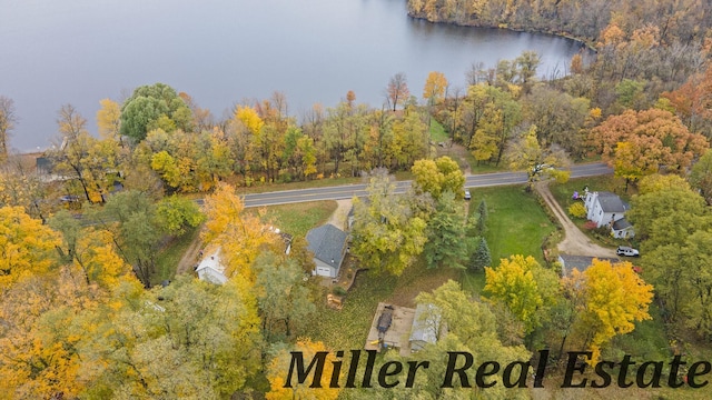 bird's eye view with a water view