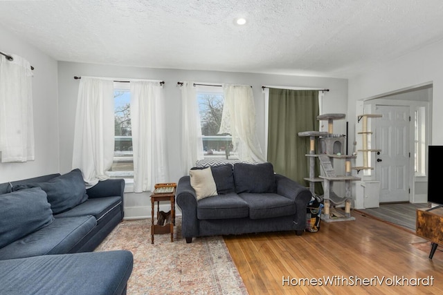 living room with hardwood / wood-style floors and a textured ceiling