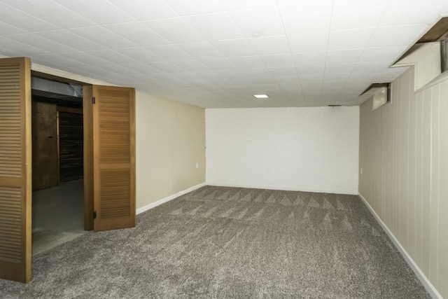 basement featuring carpet floors