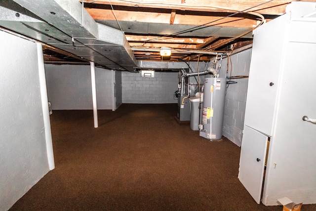 basement with water heater