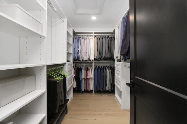 spacious closet featuring light hardwood / wood-style flooring