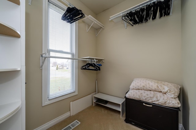 walk in closet with light colored carpet