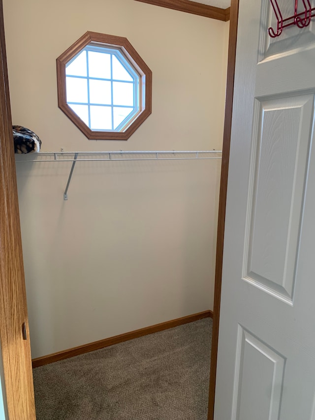 spacious closet with carpet floors