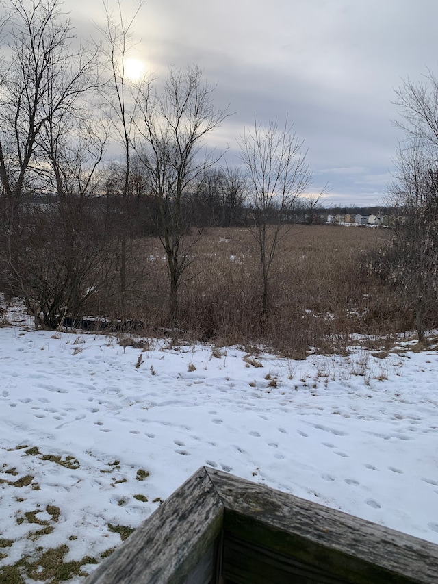 view of snowy yard