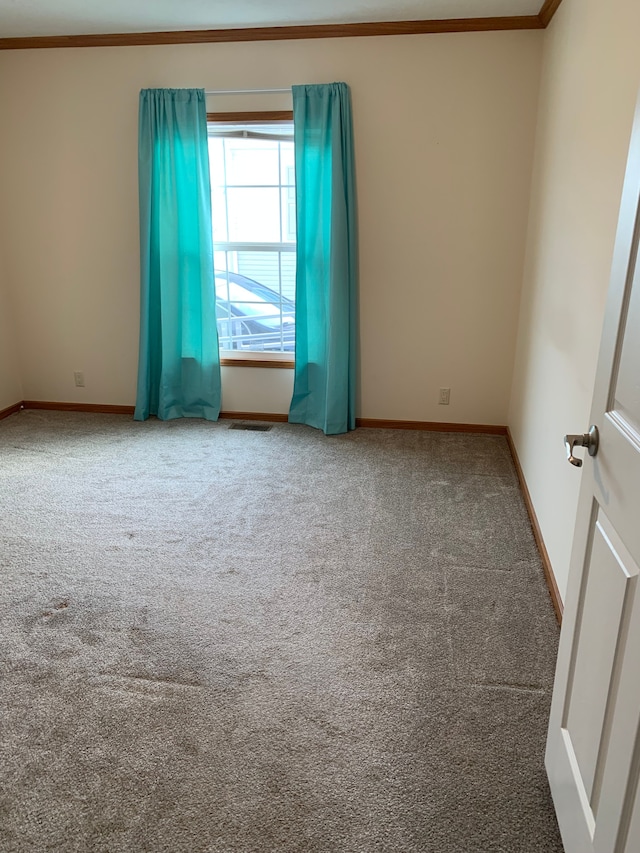 unfurnished room featuring ornamental molding and carpet floors