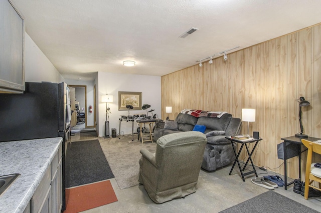 living room featuring sink, track lighting, and wooden walls