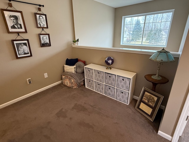 living area with carpet flooring