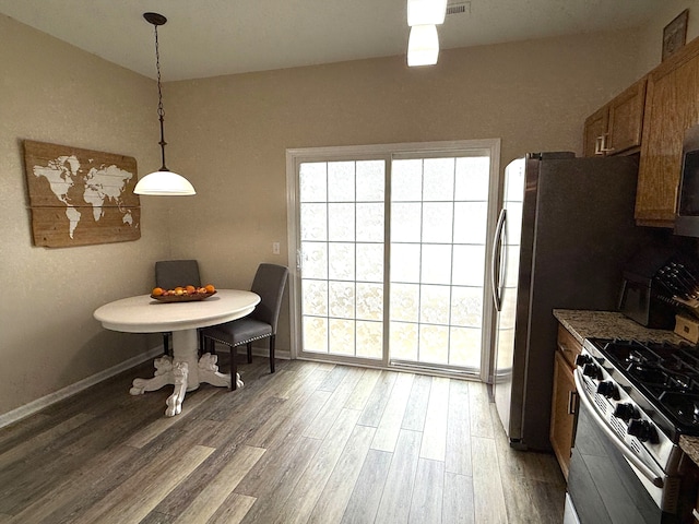 kitchen with stainless steel appliances, plenty of natural light, dark hardwood / wood-style flooring, and decorative light fixtures