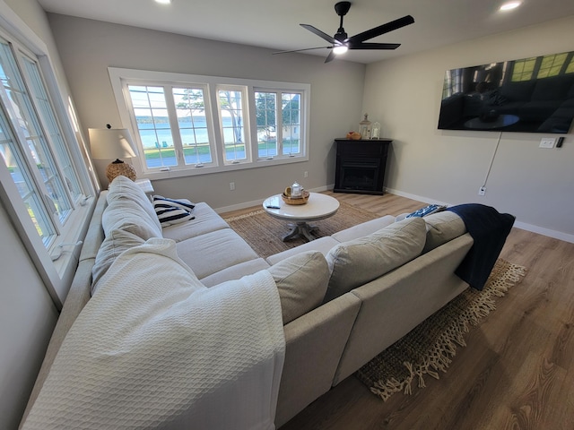 living room with ceiling fan and wood-type flooring