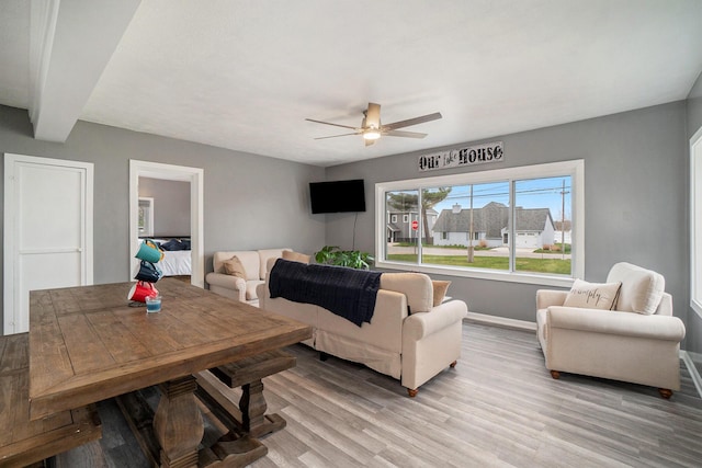 living room featuring ceiling fan and light wood-type flooring