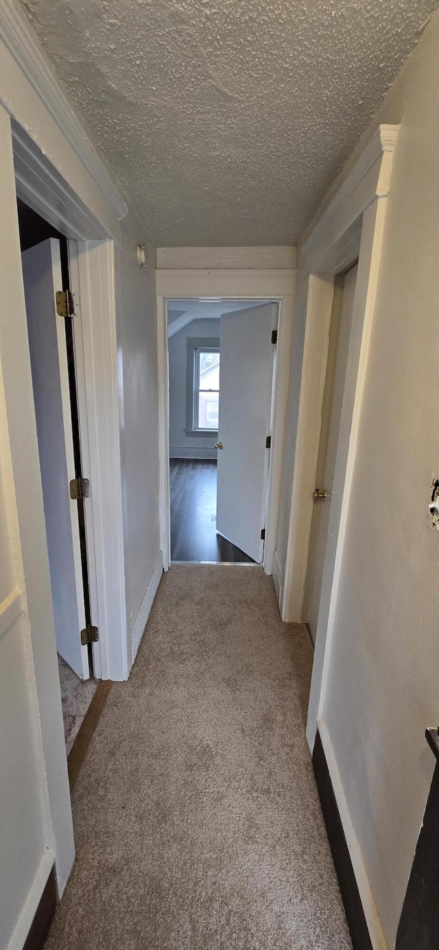 corridor featuring carpet and a textured ceiling