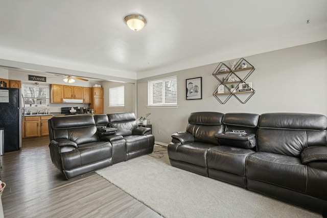 living room with sink, hardwood / wood-style flooring, and ceiling fan