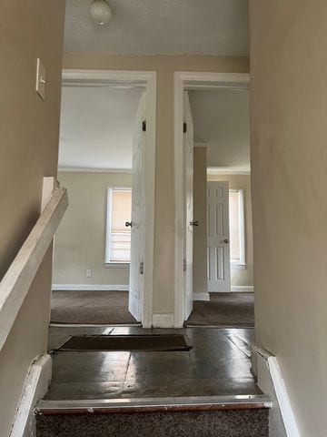 staircase with wood-type flooring