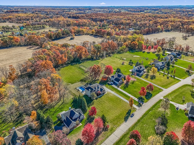 bird's eye view