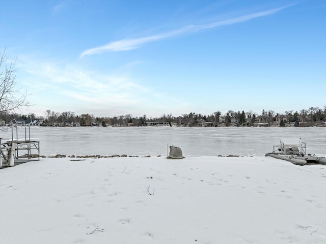 view of snowy yard