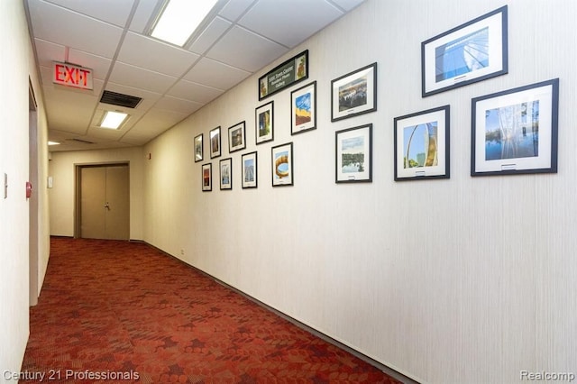 hallway with a drop ceiling, visible vents, and carpet floors