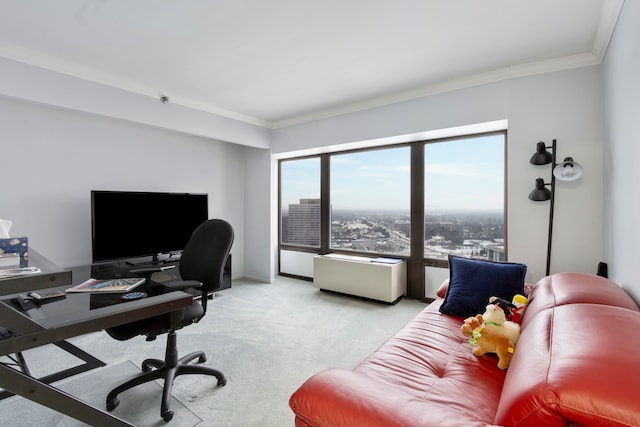 carpeted office space featuring crown molding