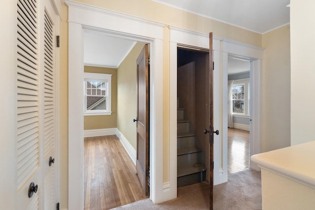 corridor featuring crown molding and light hardwood / wood-style floors