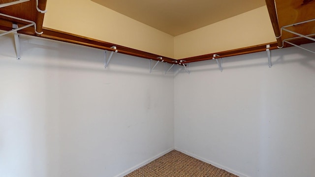 walk in closet featuring carpet flooring