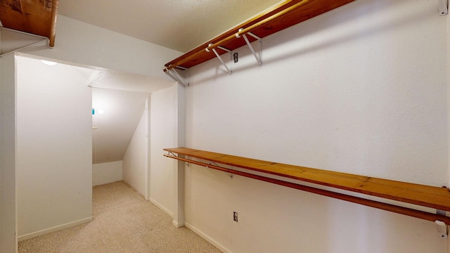 walk in closet featuring light colored carpet