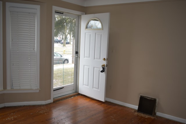 foyer entrance featuring plenty of natural light and dark wood-type flooring