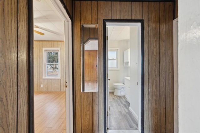 hall with a wealth of natural light, light hardwood / wood-style floors, and wooden walls