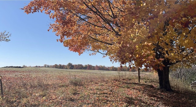 view of nature with a rural view