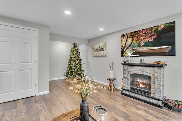 interior space featuring wood-type flooring and a fireplace