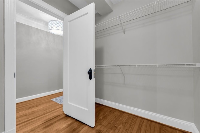 spacious closet with hardwood / wood-style flooring