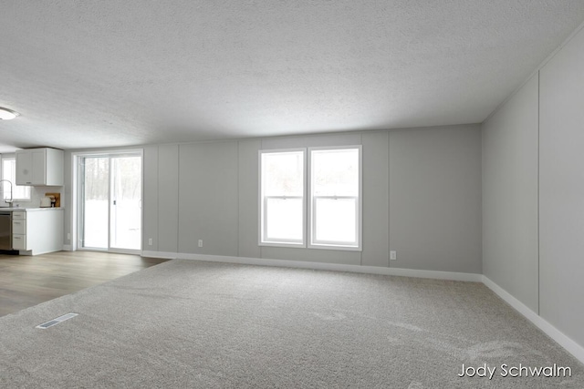 unfurnished room featuring sink, light carpet, and a textured ceiling