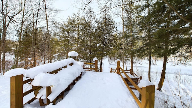 view of yard covered in snow