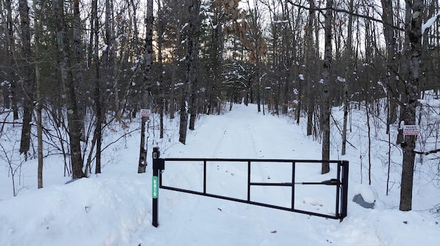 view of yard layered in snow