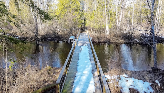 dock area with a forest view and a water view