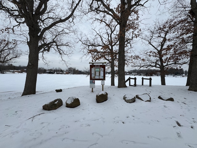 view of snowy yard