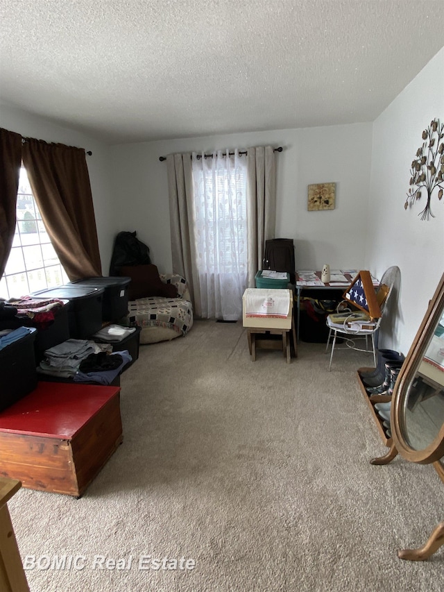 carpeted living room featuring a textured ceiling