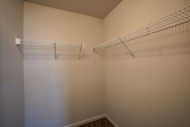 spacious closet with carpet