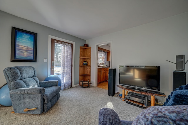 view of carpeted living room