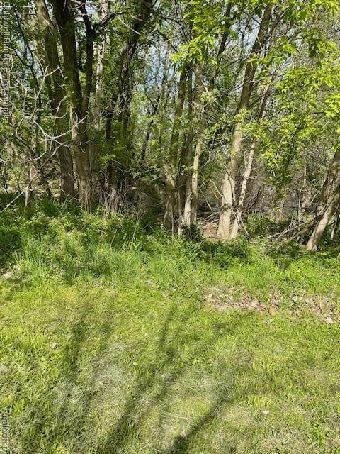 215 Raven St, Lapeer, MI 48446 - photo 3